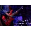 imageYamaha 5 String Bass Guitar Right Handed Translucent Brown TRBX505 TBNBlack