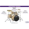 imageYamaha Rydeen 5Piece Drum Set With 22quot Bass Drum Floor Tom 2 Toms With Ball Clamp And Wood Snare Drum Orange GlitterChampagne Glitter