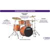 imageYamaha Rydeen 5Piece Drum Set With 22quot Bass Drum Floor Tom 2 Toms With Ball Clamp And Wood Snare Drum Orange GlitterOrange Glitter